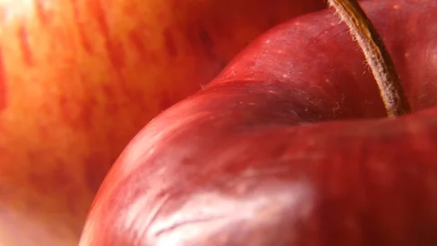 Closeup of red apples Video stock 111672495