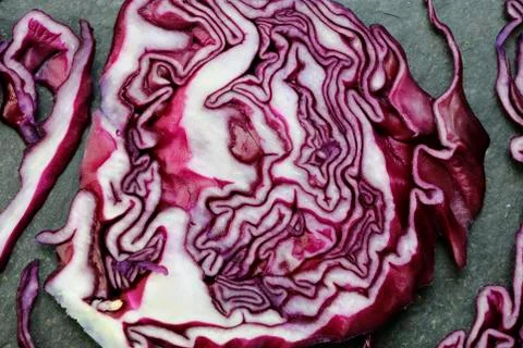 Closeup of red cabbage Stock Photos