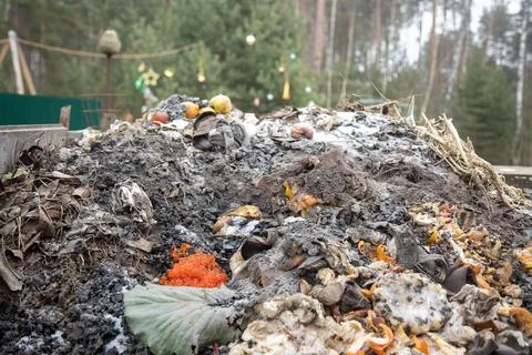 Closeup red caviar in the garbage compost pile spoiled after the holidays. in Foto stock