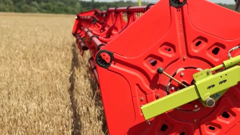 Closeup of a red combine harvester header in a wheat field Vidéo 344168850