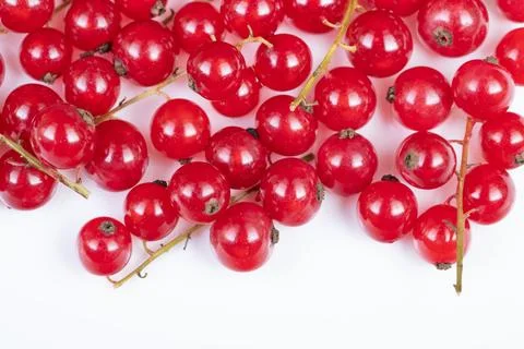 Closeup red currant spread ideal for packaging design and labels, uniform col 库存照片