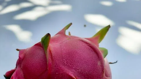 Closeup, Red Dragon Fruit on white background  02 Stock Photos