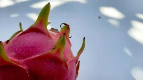 Closeup, Red Dragon Fruit on white background  03 Stock Photos