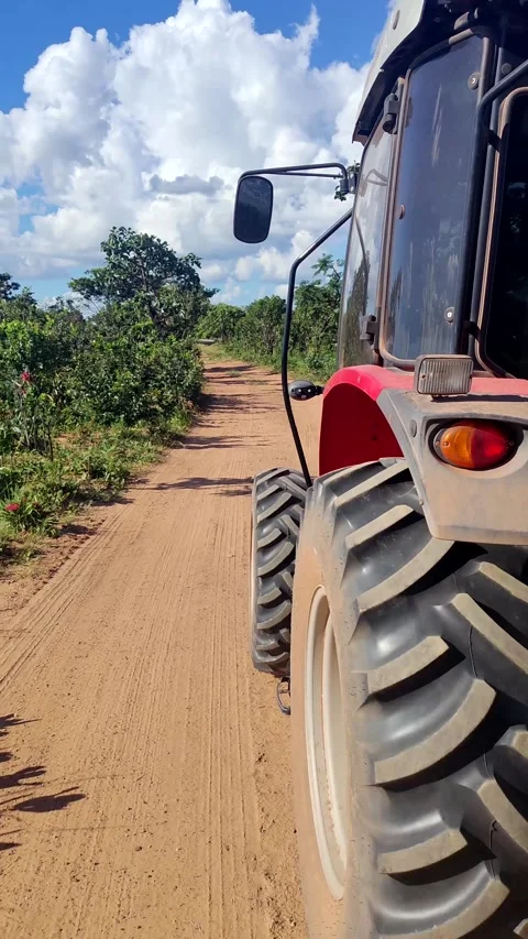 Closeup of red farm tractor with cattle on the road. Agriculture equipment. Видео 309561385