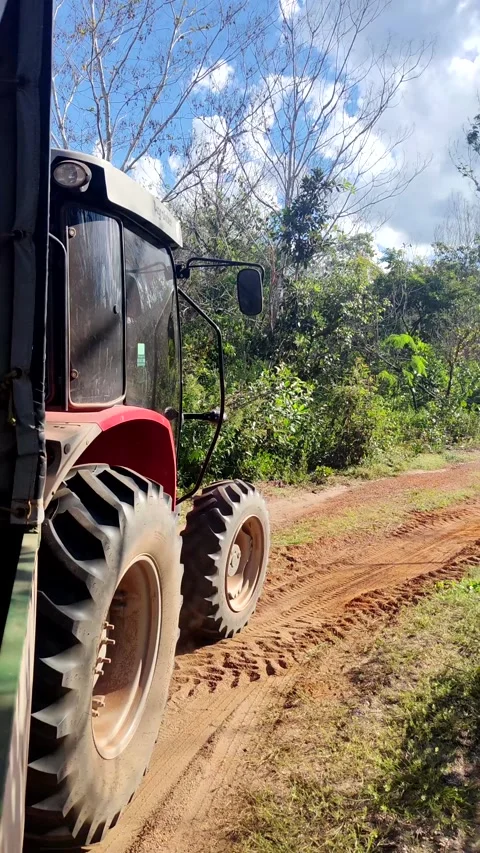 Closeup of red farm tractor on the road. Agriculture equipment. Rural scene. Stock Footage 309561364