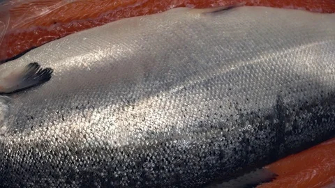 Closeup of red fish in ice in the restaurant Stock Footage 77028050