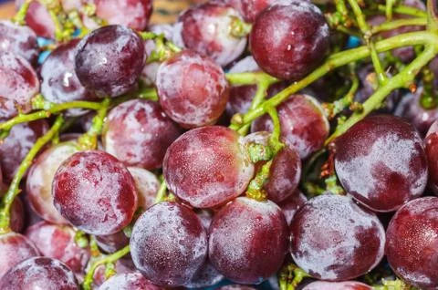 Closeup of red grapes Stock Photos