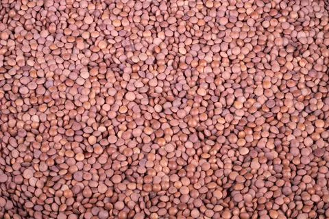 Closeup red lentil cereal texture showing uniform dry lentils on burlap, warm ea Stock Photos