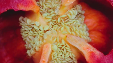 Closeup. Red pepper cut in half on a rotating green background. top view Video stock 128465367