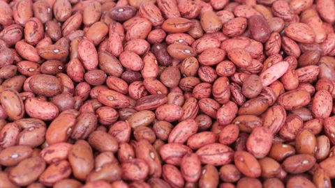 Closeup of red soy beans texture background. Stock Footage 249033380