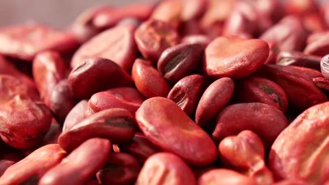 Closeup of red soy beans texture background. Stock Footage 287530206
