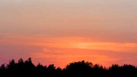 Closeup red sunset over the pine tree forest silhouette time lapse scene Stock-Footage 139507482