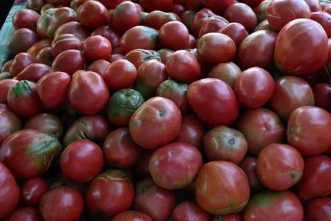 Closeup of red tomatoes on a stack for sale at a bazaar in Croatia Stock Photos