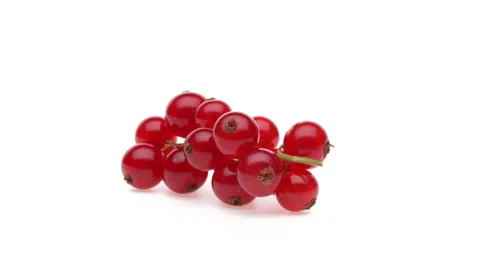 Closeup of redcurrant sprig rotating. Isolated on the white background. Video stock 166220587