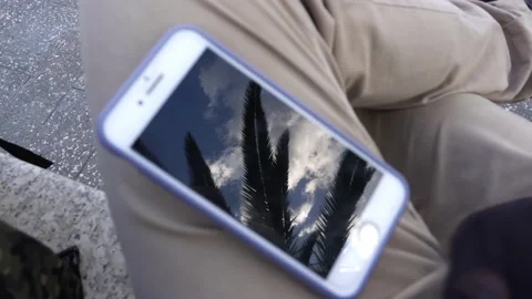Closeup of the reflection of the screen of a cell phone of the sky and palm Stock Footage 164590543