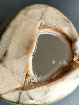 Closeup of a refreshing young coconut. Fotos Stock