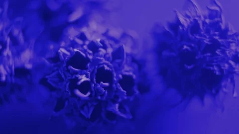 Closeup Of A Representation Of A Virus Stock Footage 125853583