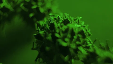 Closeup Of A Representation Of A Virus Stock Footage 125853602