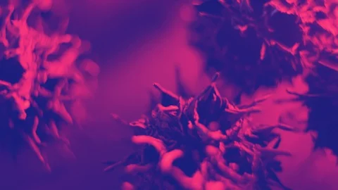 Closeup Of A Representation Of A Virus Stock Footage 125853605