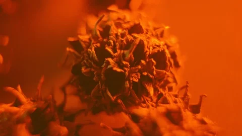 Closeup Of A Representation Of A Virus Stock Footage 125853617