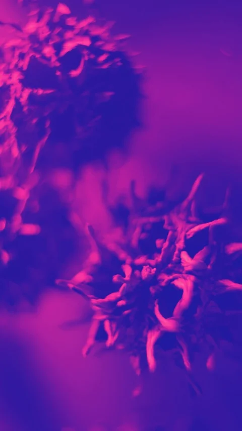 Closeup Of A Representation Of A Virus Stock Footage 125853621