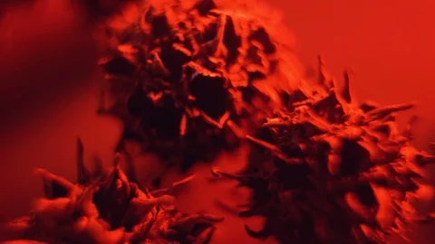 Closeup Of A Representation Of A Virus Stock Footage 125853630