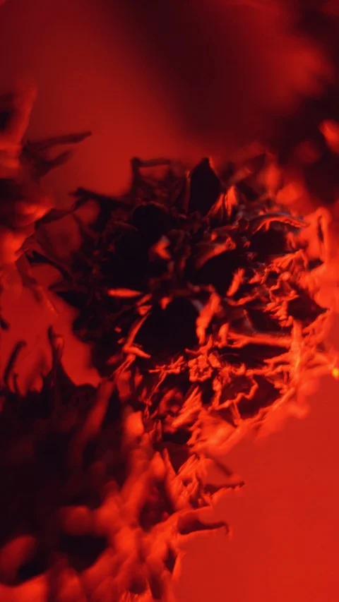 Closeup Of A Representation Of A Virus Stock Footage 125853633