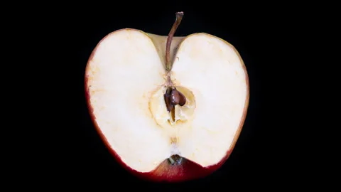 Closeup reveals rotting fruit changes, Macro shot of decomposing apple over time Stock Footage 325650492