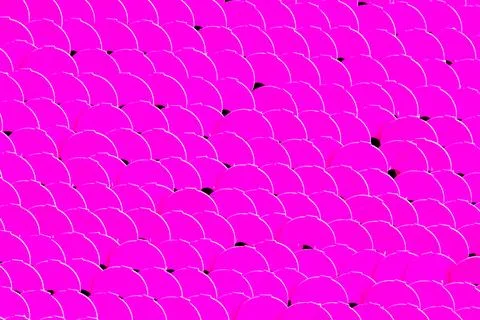 Closeup of reversible sequins textured background 스톡 사진
