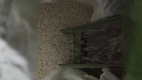 Closeup rice being husked in machine Stock Footage