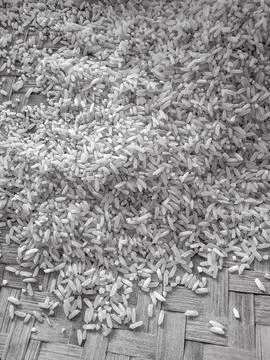 Closeup rice field Stock Photos