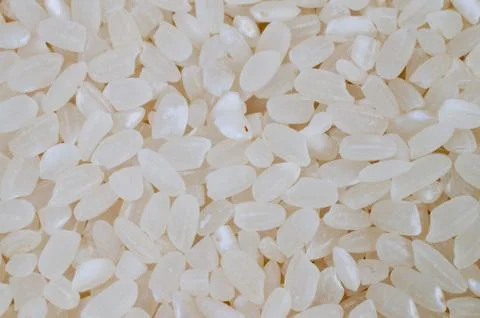Closeup of rice 스톡 사진