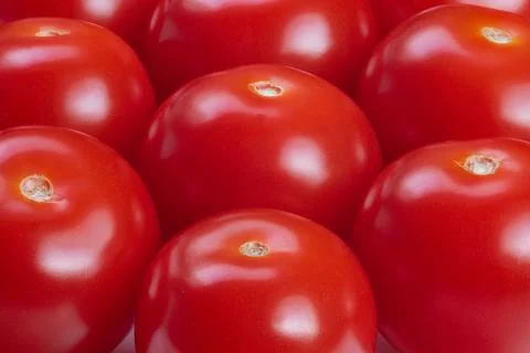 Closeup of ripe cherry tomatoes, Focus on texture and vivid coloration, Chef cho Stock Photos