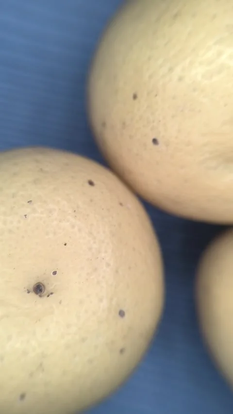 Closeup of ripe subtle lemon fruits with cinematic effect. Stock Footage 334968675