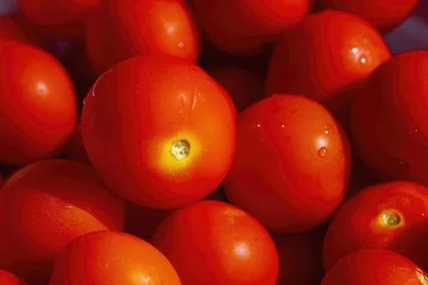 Closeup ripe tomatoes, vegetables background Stock Photos