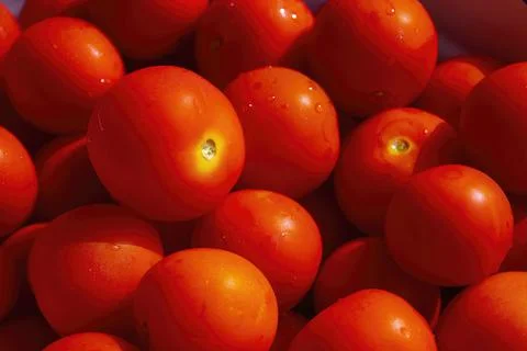 Closeup ripe tomatoes, vegetables background Stock Photos