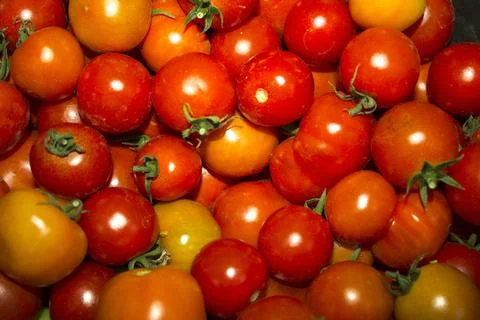 Closeup ripe tomatoes, vegetables background Stock Photos