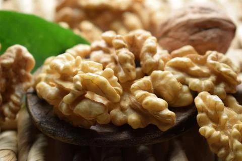 Closeup of ripe walnut kernels Stock Photos