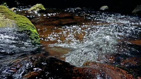 Closeup of river between stones in forest  動画素材 67845112