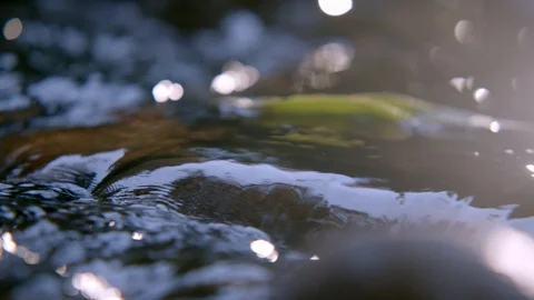 Closeup of river between stones in forest - detail of flowing water Stock Footage 121055479