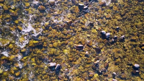 Closeup of river rocks in stream near Lake Estes in Estes Park, Colorado Stock Footage 220089909