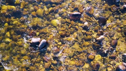 Closeup of river rocks in stream near Lake Estes in Estes Park, Colorado 库存影片 220089916
