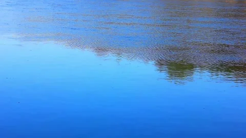Closeup river water flow passing down slowly 스톡 동영상 123013709