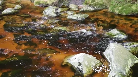 Closeup of River Water Stock Footage 81753384