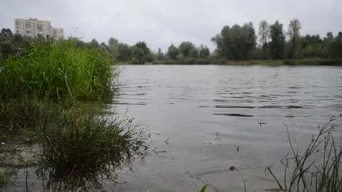 Closeup of river water Stock Footage 102242667