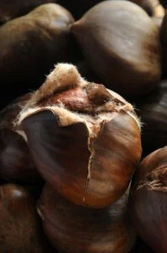 Closeup of roasted chestnuts with the typical cut for cooking Stock Photos