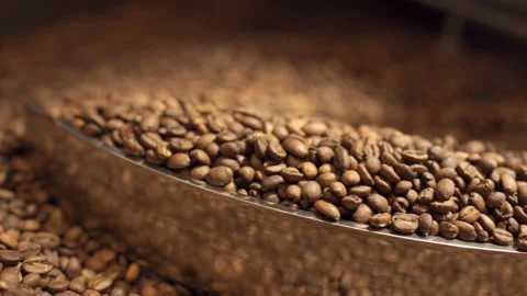 Closeup of roasted coffee beans Vídeos de archivo 170696853