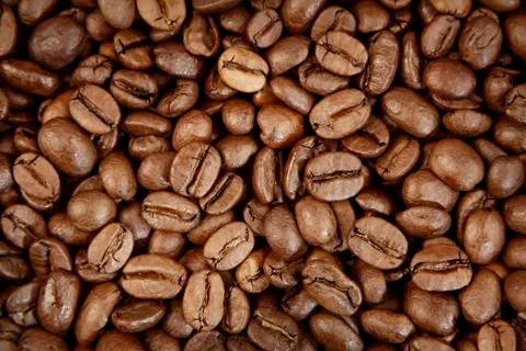 Closeup of roasted coffee beans Stock Photos