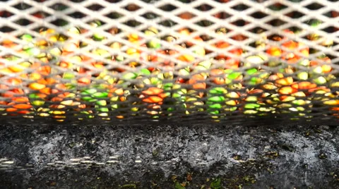 Closeup of Roasting Chilies in Hatch New Mexico Stock Footage 42809615
