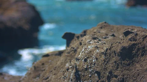 Closeup on a Rock at the Coast Stock Footage 91046969
